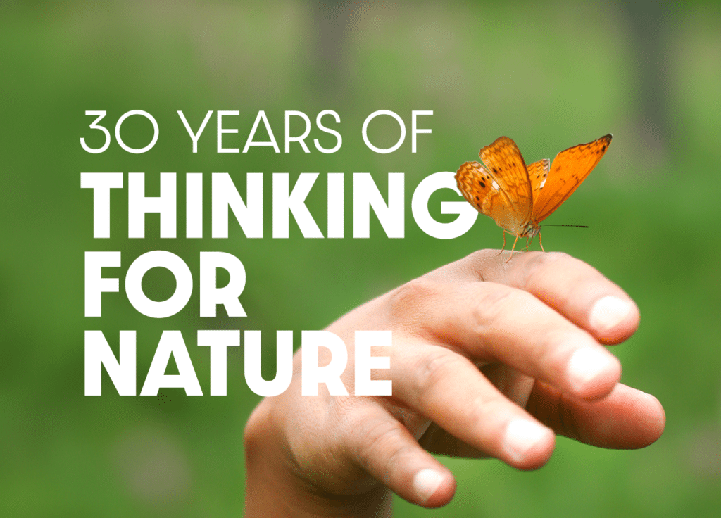 b934be7029e21339a582178f30606f9b4cd835ea